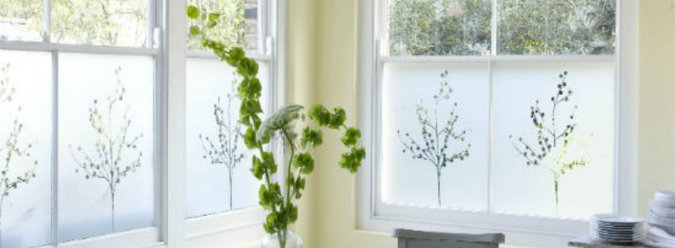 Room interior with frosted window film installed on exterior windows. There is a plant in the foreground.