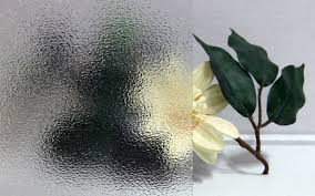 Picture of a flower behind some glass that is half frosted, half clear