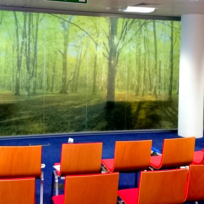 Interior wall with a picture of a forest manifested onto it