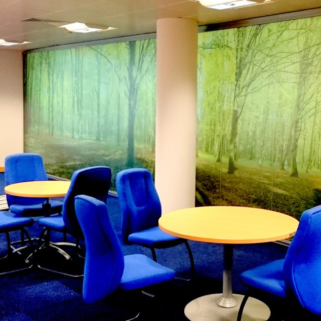 The interior of a meeting room with the image of a forest depicted on the wall using decorative film