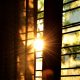 Sun shining through a gap in the blinds