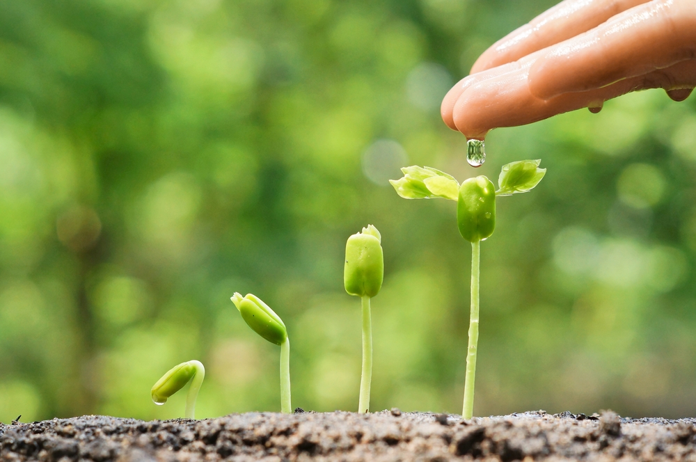 How Green Is Your Office Environment